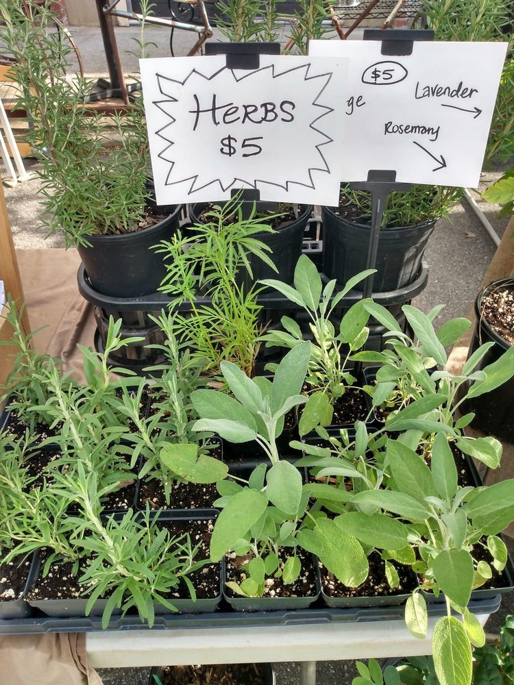 The Corner Farmers Market