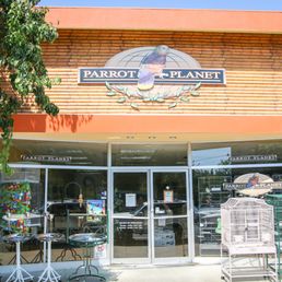 photos pour parrot planet yelp photos pour parrot planet yelp