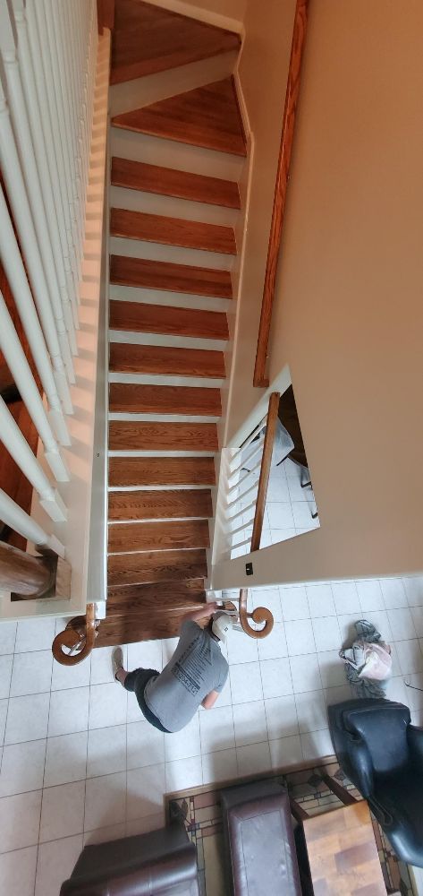 image of business Armando