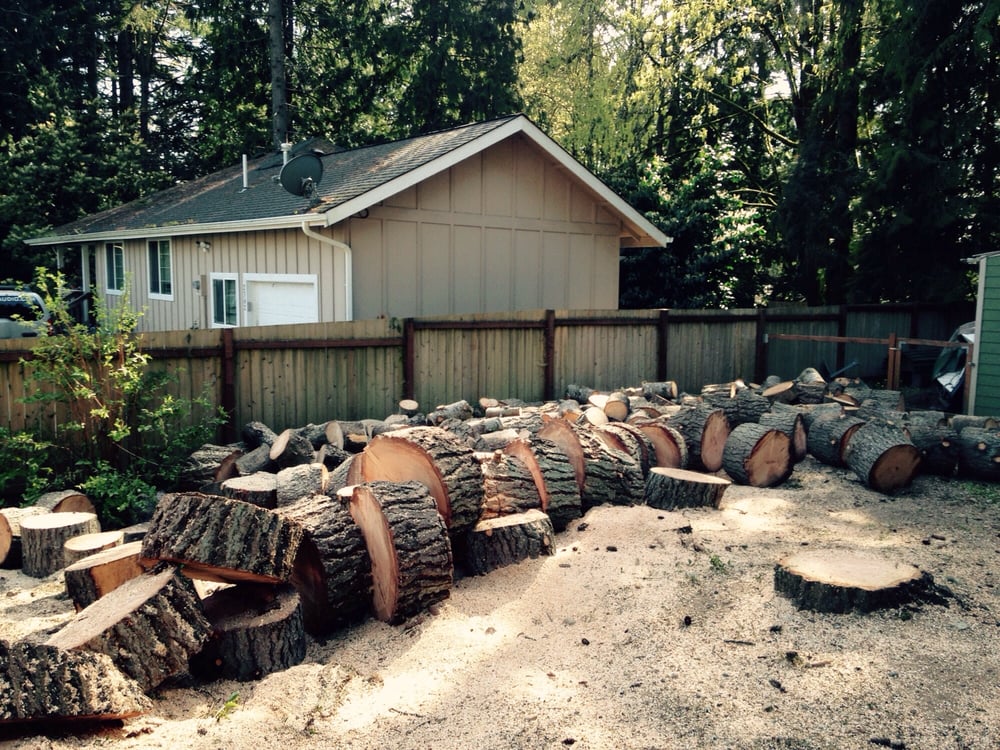 Photos for Evergreen Tree Care Yelp