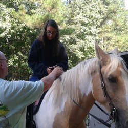 Horseback Riding Of Myrtle Beach 13 Photos 14 Reviews Photo Of Horseback Riding Myrtle Beach Conway Sc United States