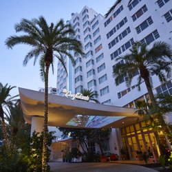 The Confidante Miami Beach In Unbound Collection By Hyatt 639 The Confidante Miami Beach