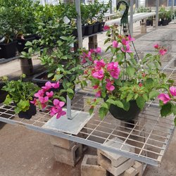 Elliott Gardens 13 Reviews Nurseries Gardening 6321 Lowell Elliott Gardens 13 Reviews Nurseries Gardening 6321 Lowell Blvd Denver Co Phone Number Last Updated December 10 2018 Yelp