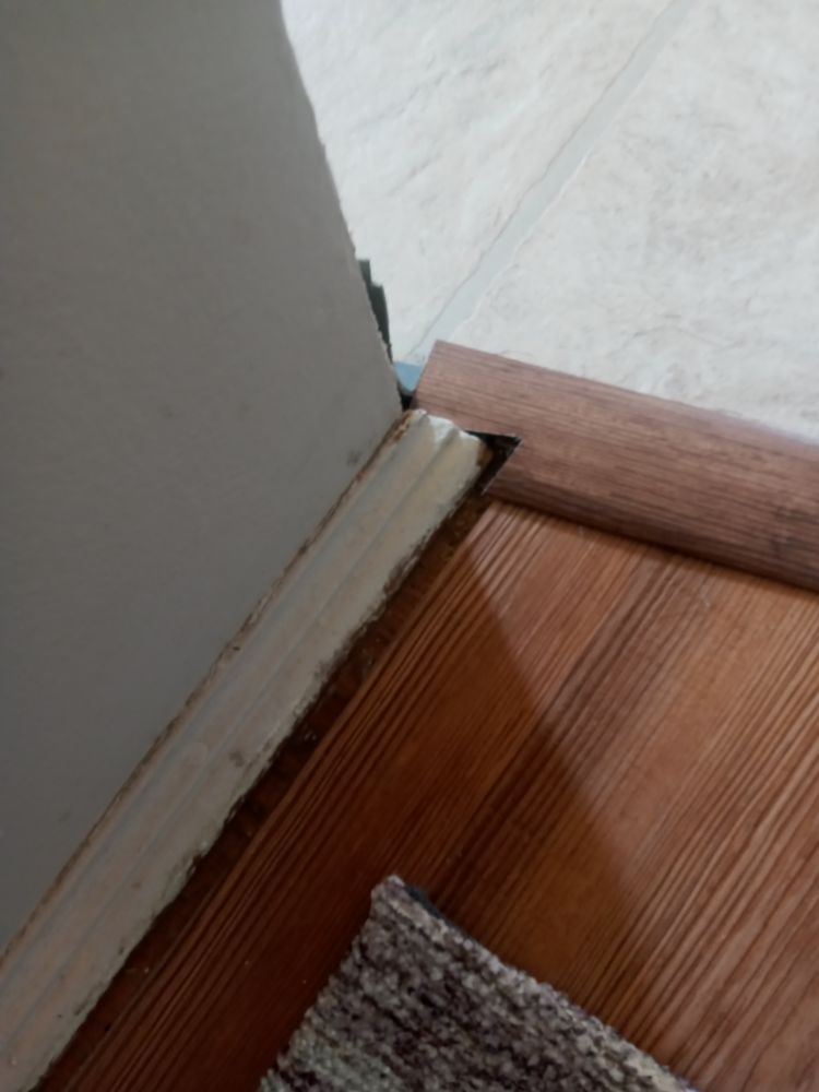 image of business Schoch Tile and Carpet