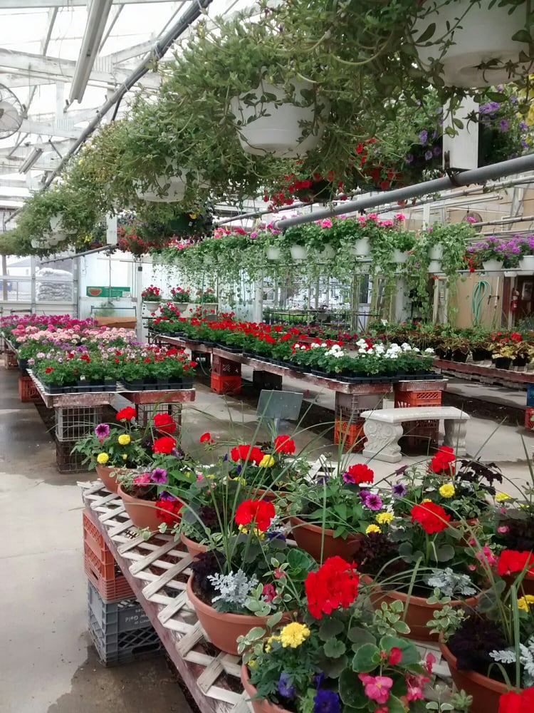 Paul’s Nursery Nurseries & Gardening 6501 Brookville Rd