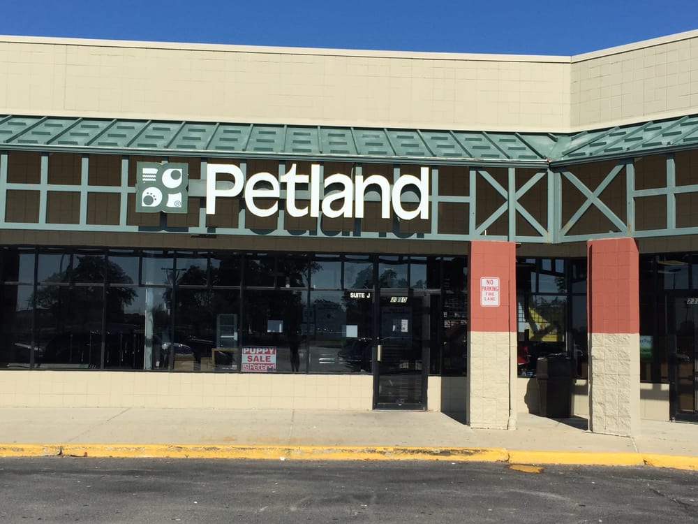 Petland Racine 12 Photos & 23 Reviews Pet Stores 2310 S Green Bay Rd, Racine, WI Phone