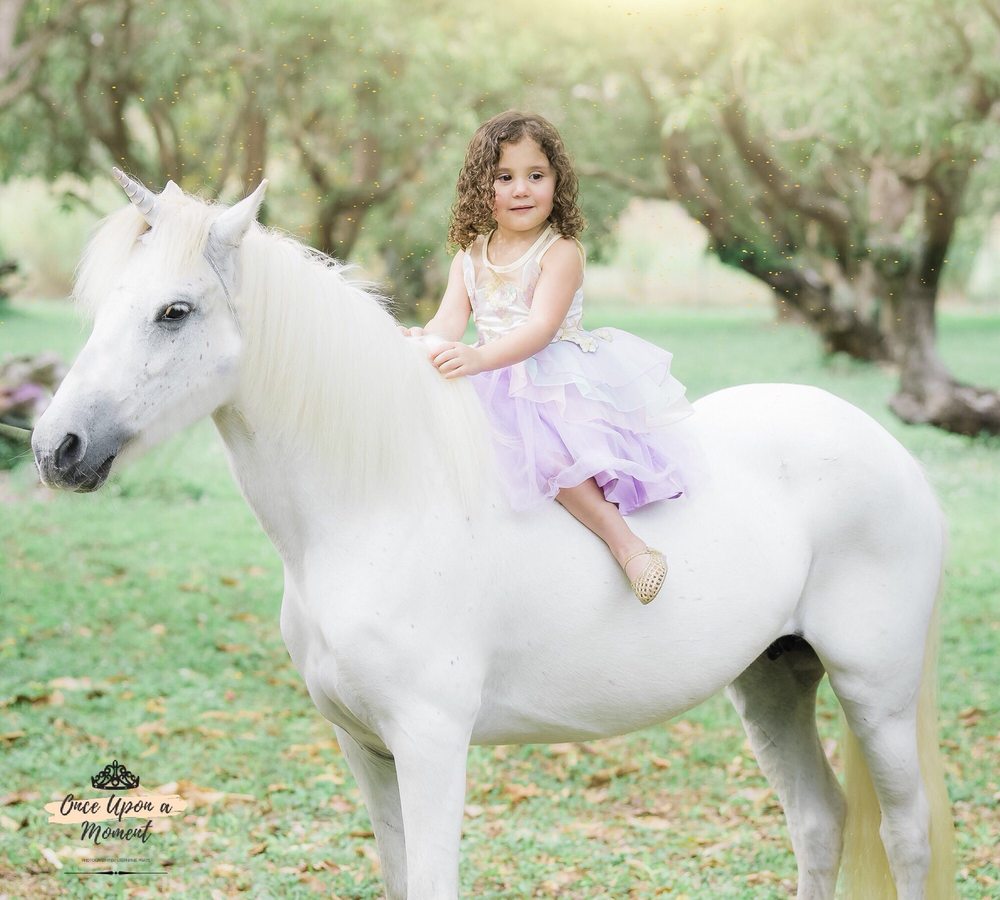 Funtastic Pony Party