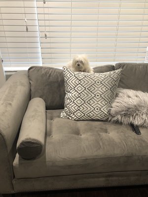 Mod Home 1275 W Elliot Rd Tempe Az Furniture S Mapquest Reviews