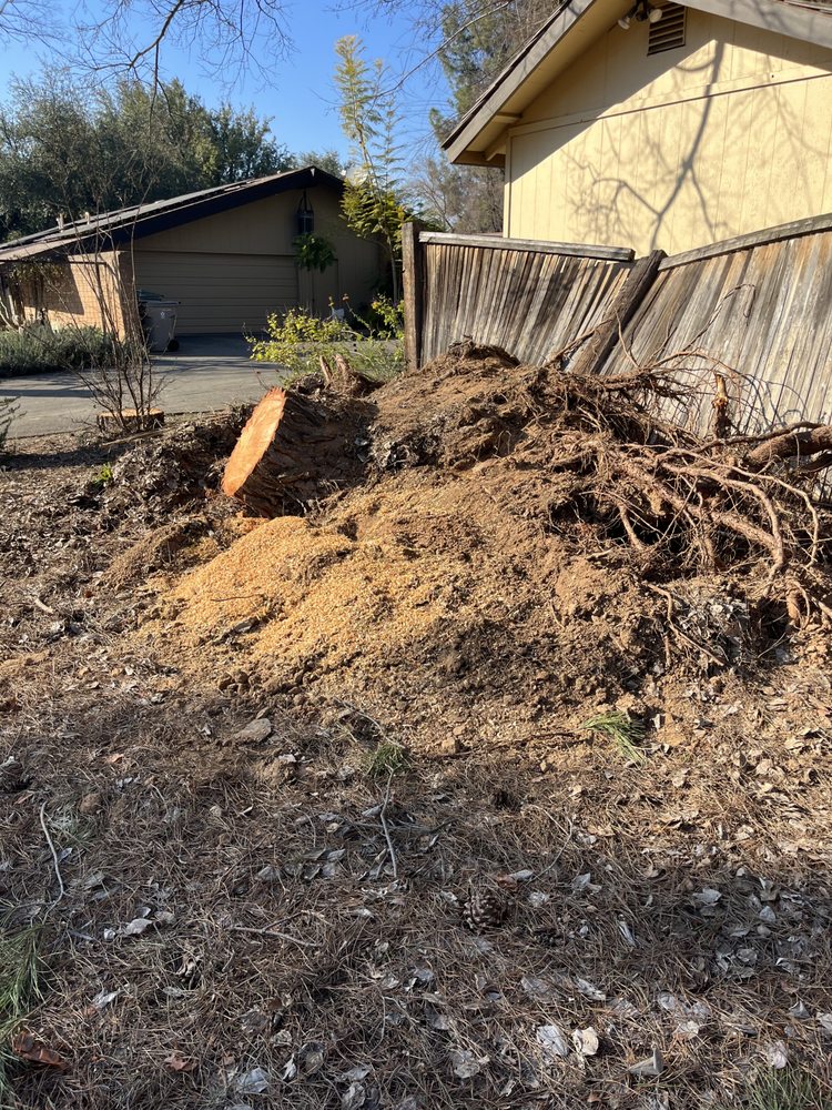 J M stump grinding services