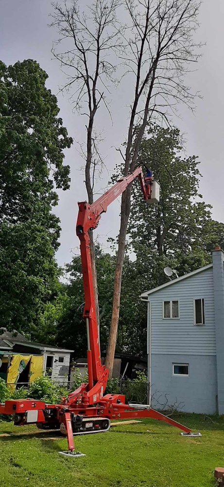 KD Rochester Tree Service