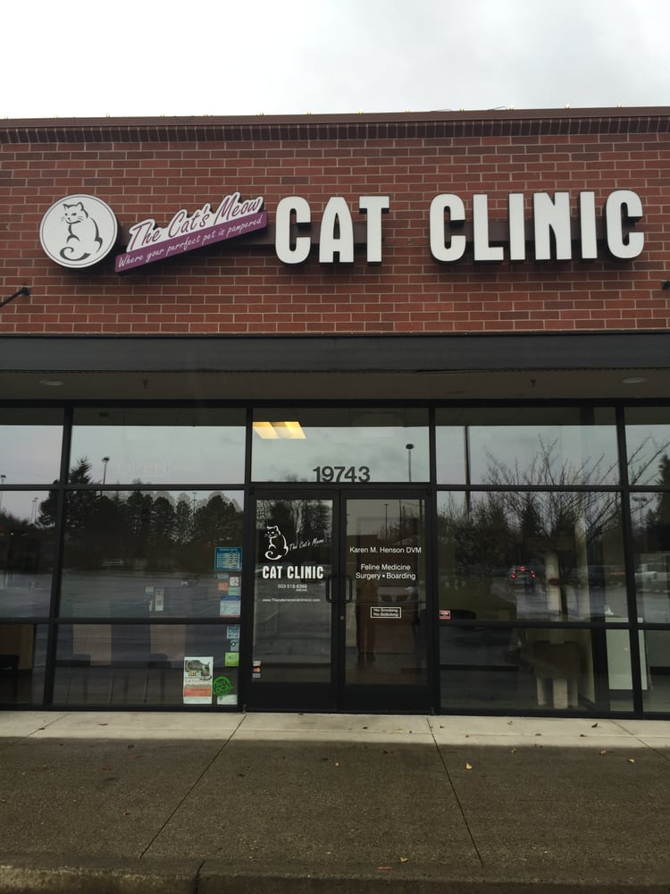 The Cat’s Meow Cat Clinic 17 Photos Veterinarians 19743 S Hwy 213, Oregon City, OR Phone
