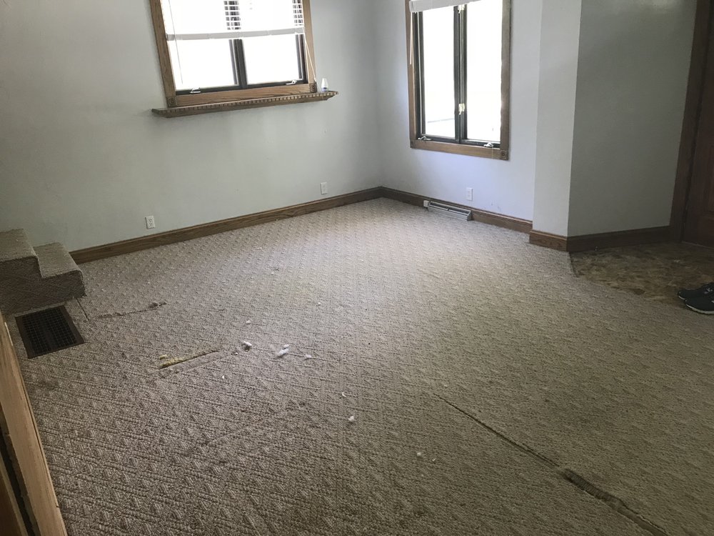 image of business Carpet City