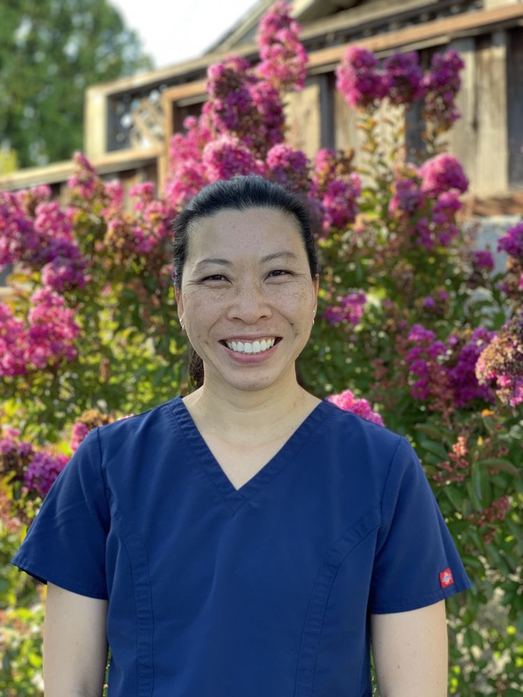 image of business Karen Ho, DDS