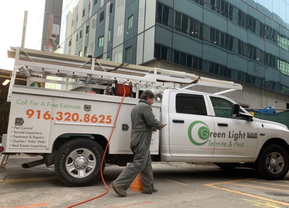 Green Light Termite & Pest