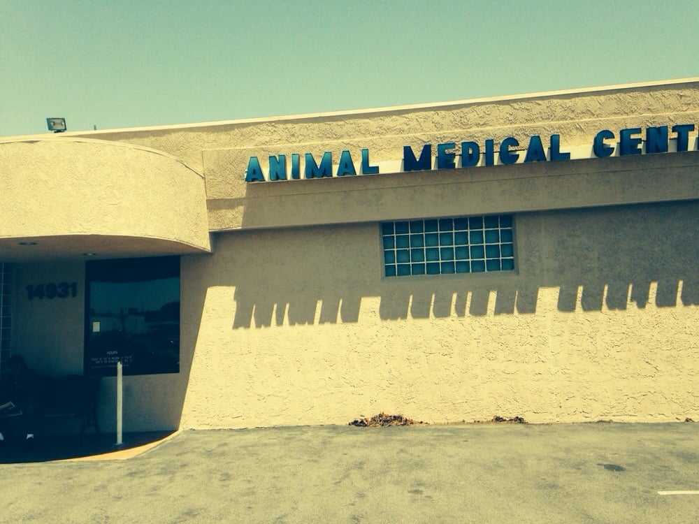VCA Animal Medical Center 62 Photos & 201 Reviews Veterinarians