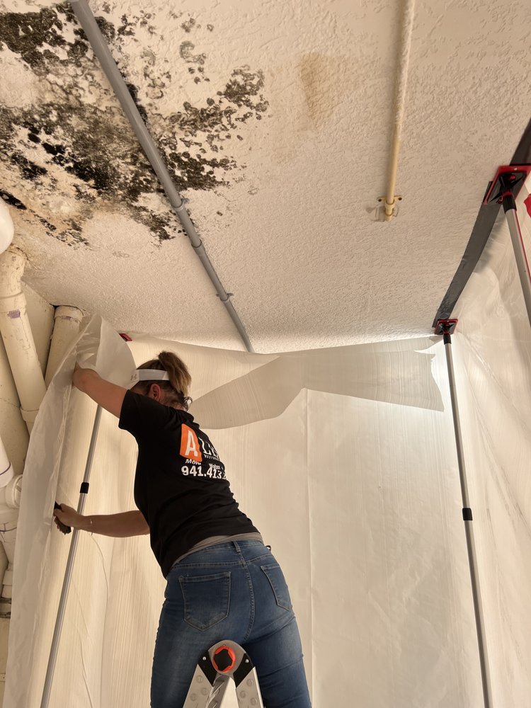 image of business Ally Restorations