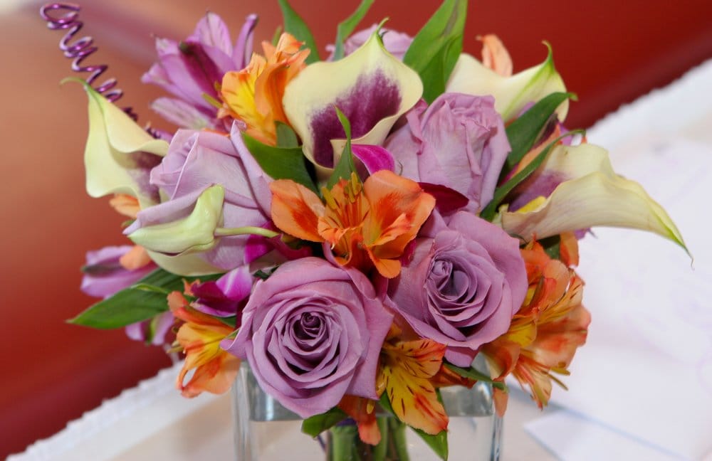 Tiptons Florist Florists 392 North Cswy New Smyrna Beach Fl Tiptons Florist Florists 392 North Cswy New Smyrna Beach Fl Phone Number Last Updated December 11 2018 Yelp