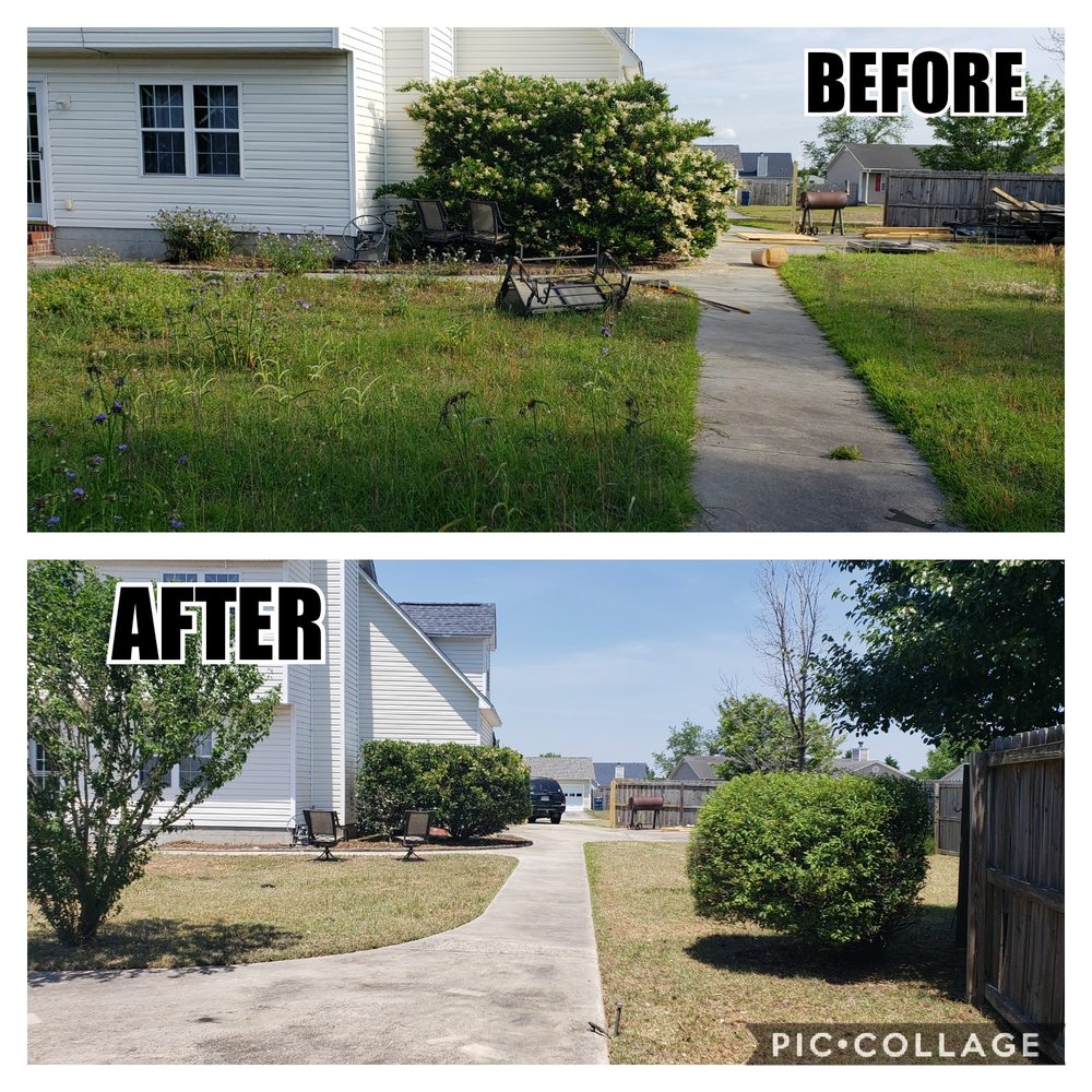 Pain In The Grass Lawn Service