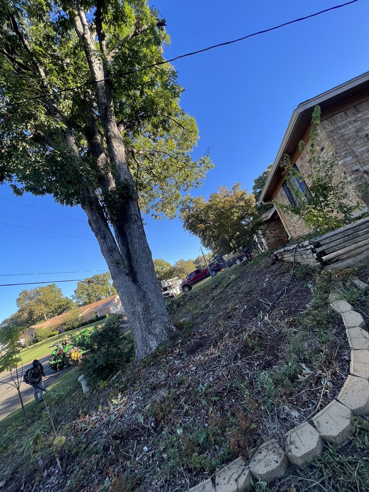 A. Gurrola Tree Service