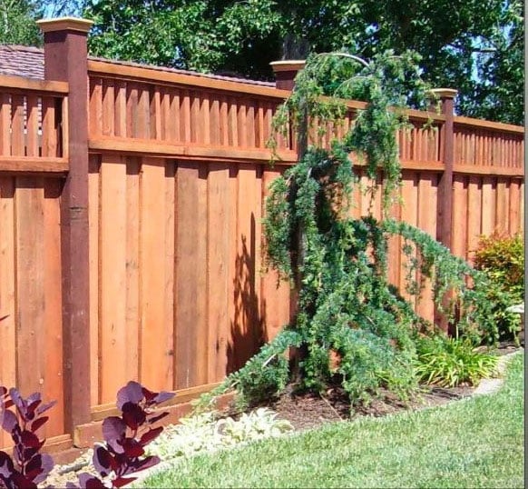 LifeScaping