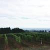 Durant Vineyards winery