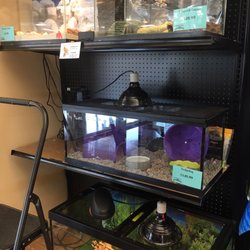 Top 10 Best Petsmart Pet Hotel Near N Hurstbourne Pkwy Ky Ky