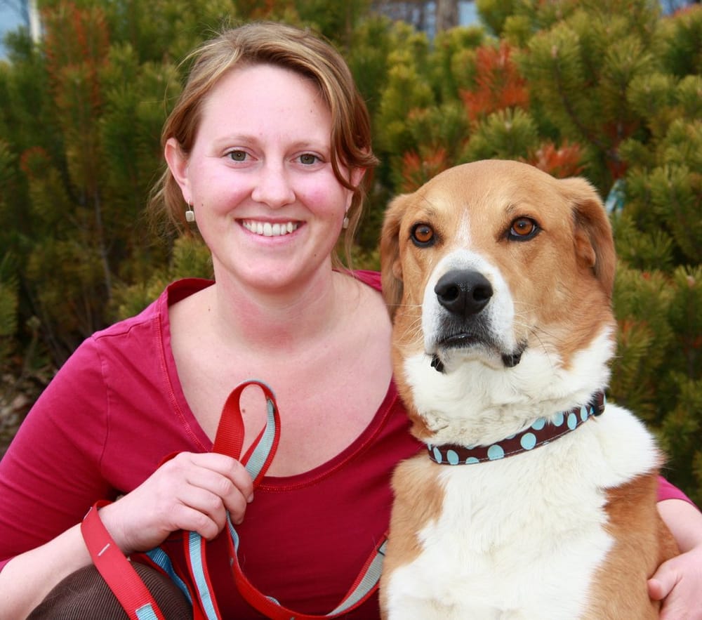 Reviews Of Karma Dog Training Reviews Of Karma Dog Training