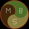 Ms