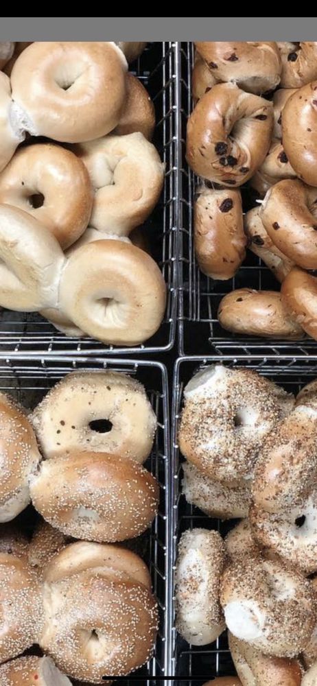 The Bagel Hut