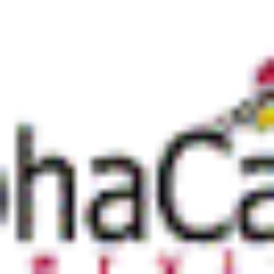 alpha card services