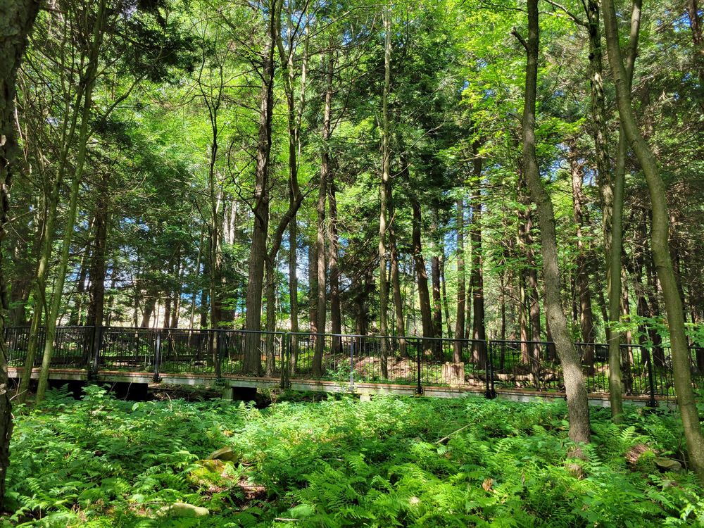 Allegheny Portage Railroad National Historic Site