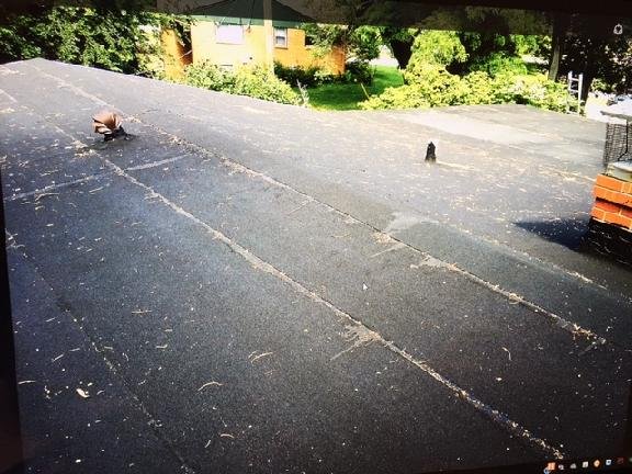 Professional Roofing