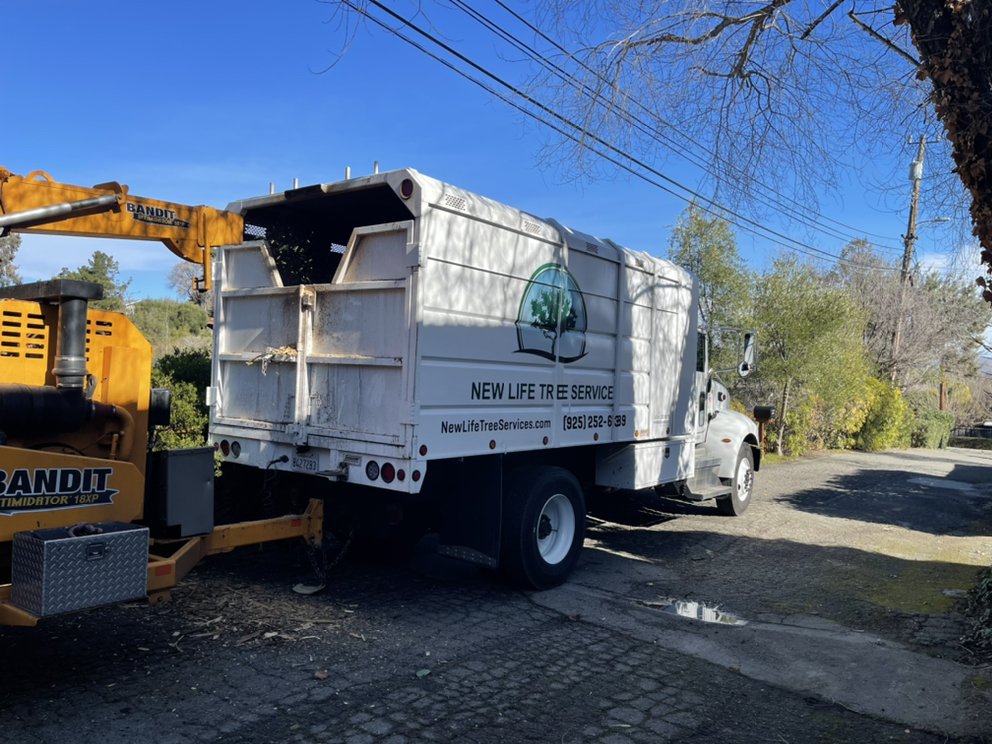 New Life Tree Service