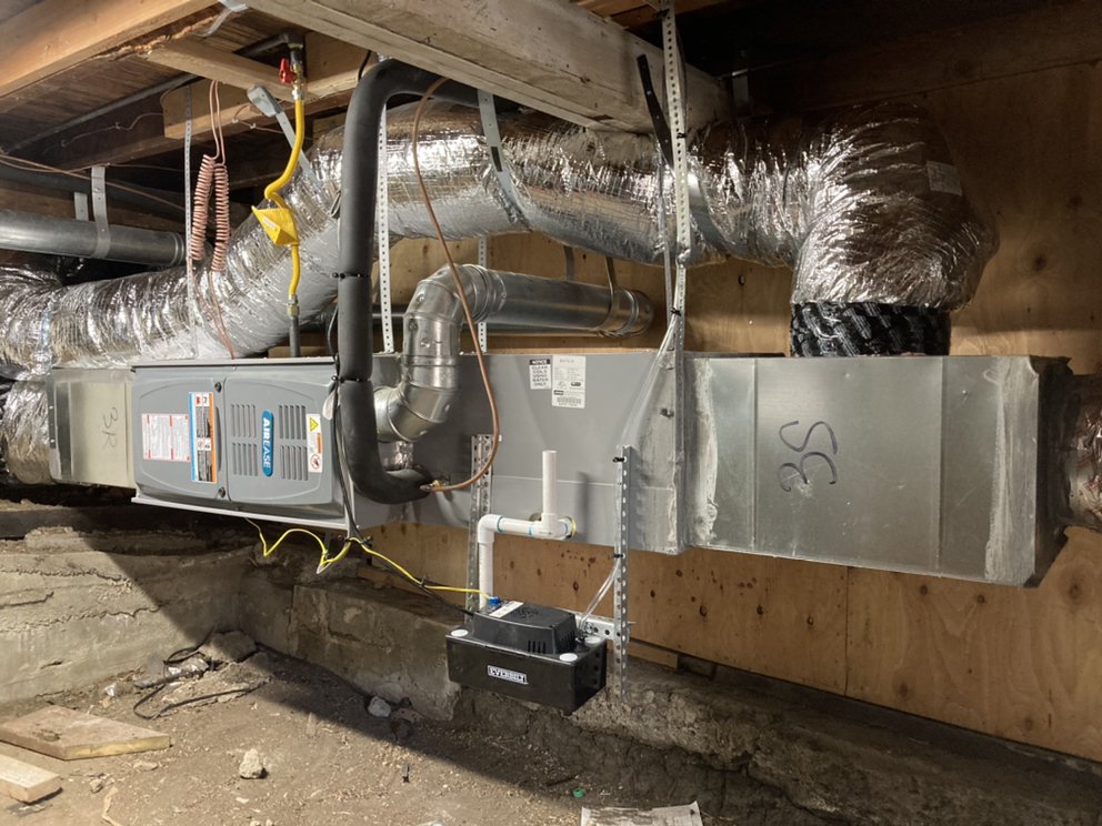 image of business Safiplex