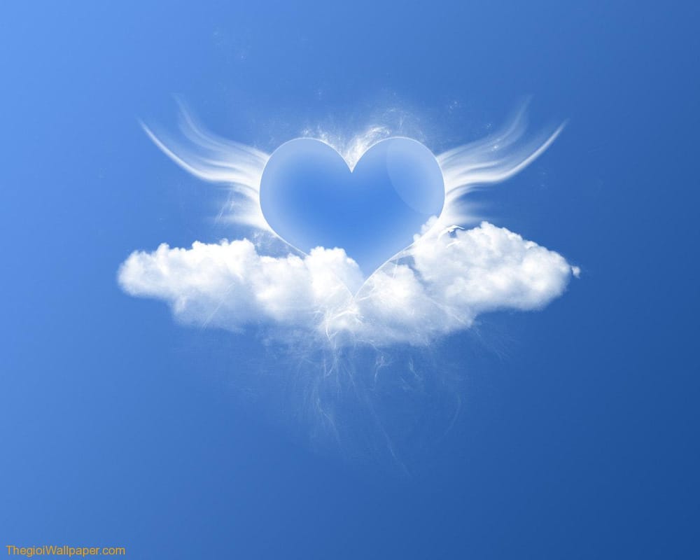 Angels with Heart Home Care