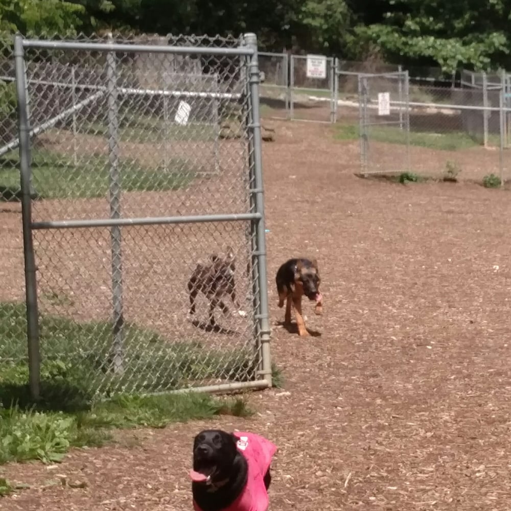 Ma & PA Dog Park Dog Parks 703 N Tollgate Rd, Bel Air, MD Phone