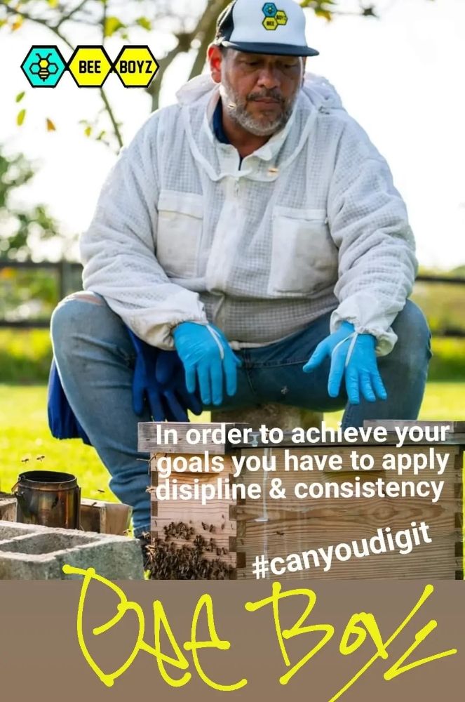 image of business Beeboyzinc