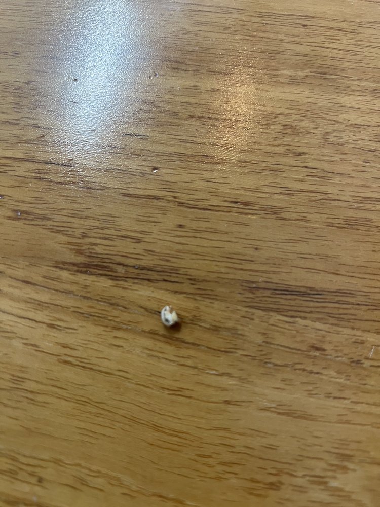 Raising Cane's Chicken Fingers