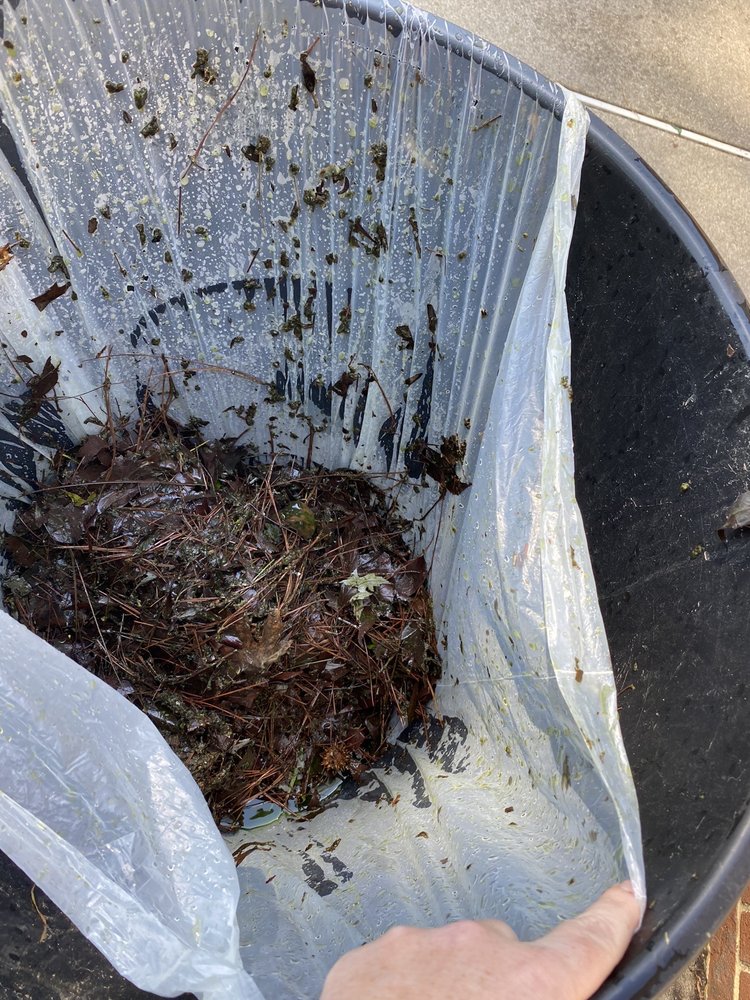 Island Pool Services