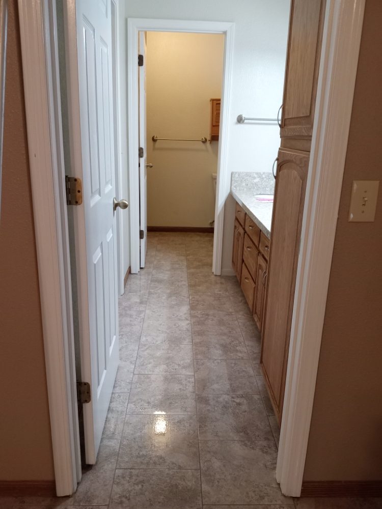 Absolute Carpet Rug Tile & Upholstery Cleaning