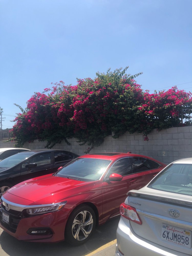 Palm Villas Apartments