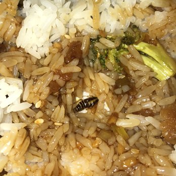 Chinese Food Delivery Missouri City Tx Chinese Food Delivery Missouri City Tx
