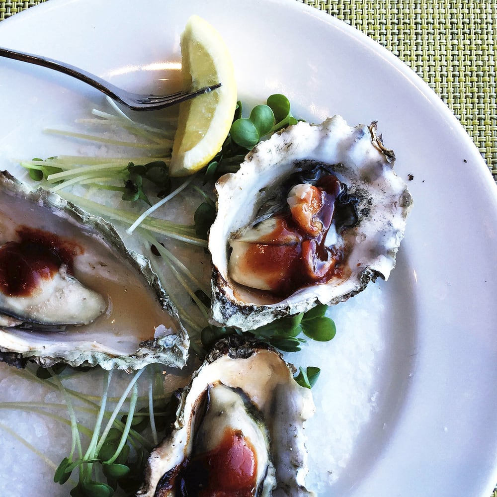 The Monterey Bay Aquarium Restaurant 313 Photos & 115 Reviews