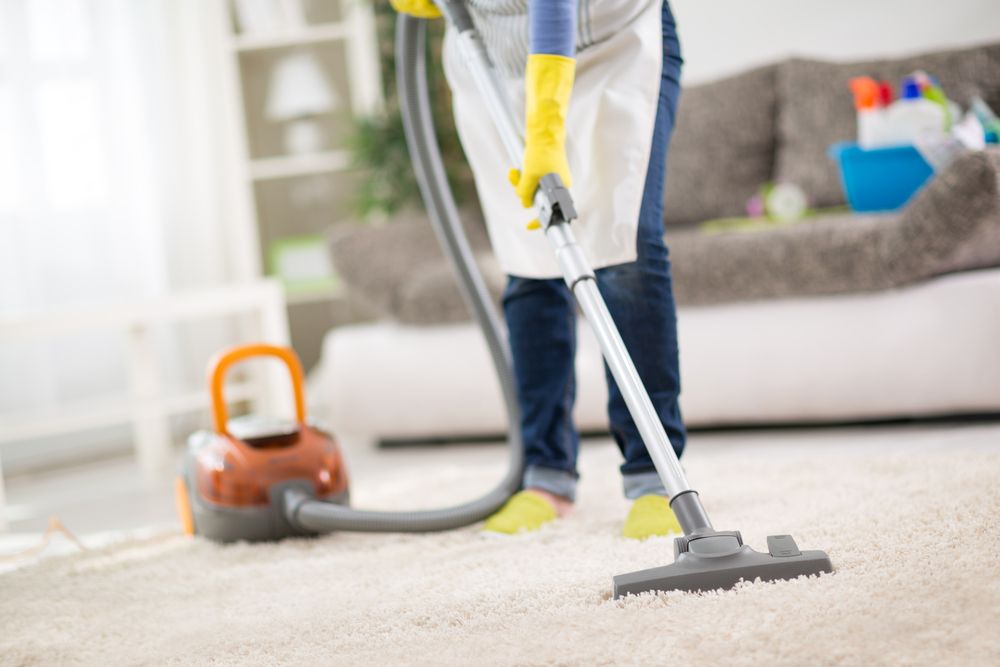 Davis Housecleaning