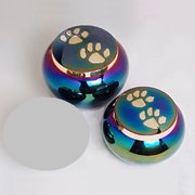 Photo of Angel Ashes Pet Cremations - Sheidow Park South Australia, Australia. Rainbow Paw Print Urn