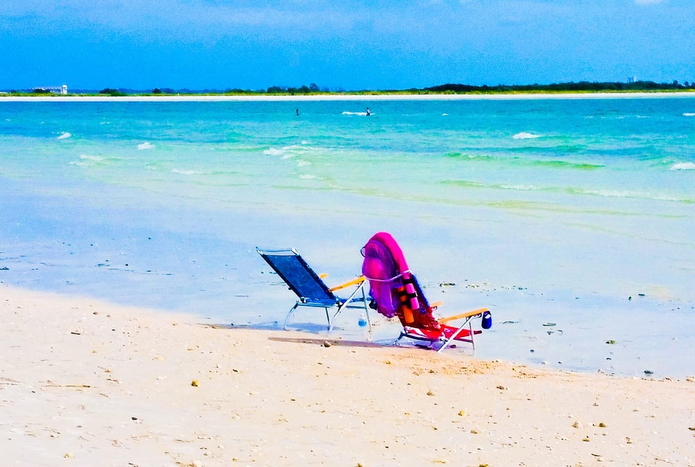 Honeymoon Island State Park 306 Photos & 157 Reviews Beaches 1