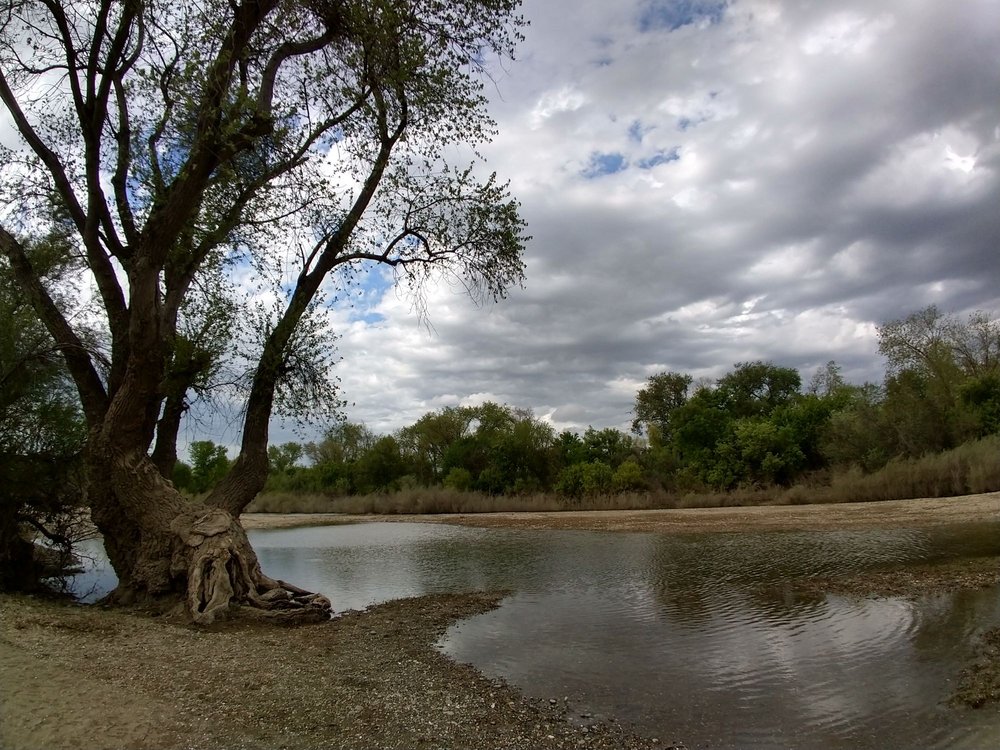 Photos For Paradise Beach Yelp Photo Of Paradise Beach Sacramento Ca United States
