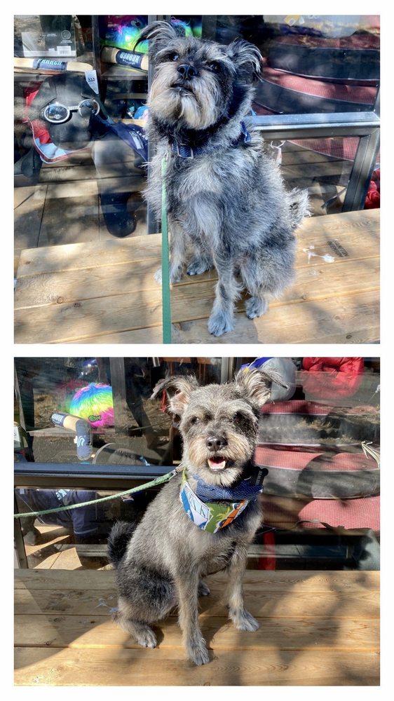 EarthWise Pet Supply & Grooming
