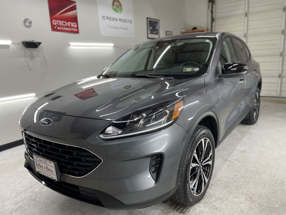 Green Roots Detailing