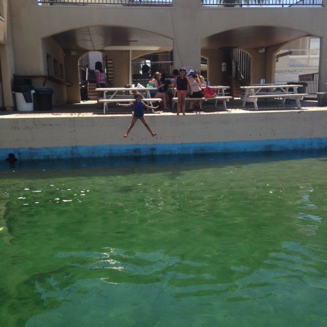 Roadrunner Floating Dock Bar Bars 7000 Riverside Dr, Parker, AZ Restaurant Reviews Phone